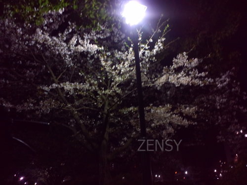 blog2 (10)