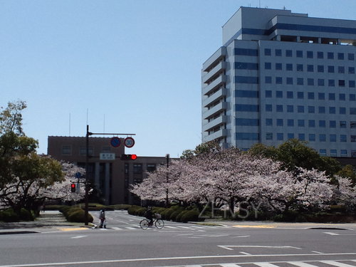 blog2 (6)