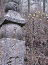#11-1 Koyasan Stone Marker Path & a mitsumata plant