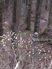 #11-2 Koyasan Stone Marker Path & a mitsumata plant
