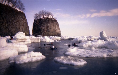 流氷ネイチャリング9.JPG