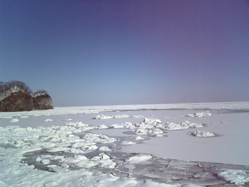 流氷ネイチャリング14.JPG