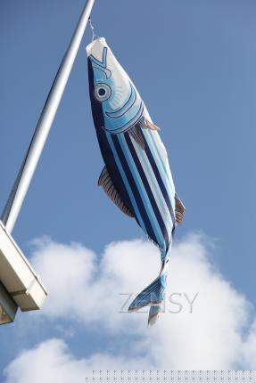 IMG_8169