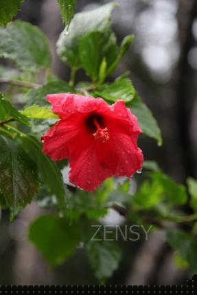 IMG_8585