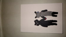 IMGP0199.JPG