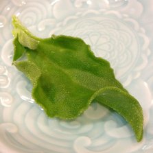 椁