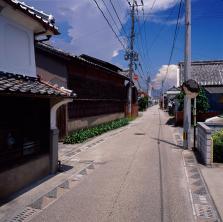 kiji8 (3)