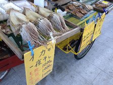 IMG_4528