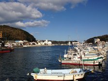 IMG_4564
