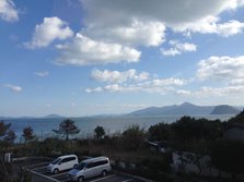 瀹ゅ