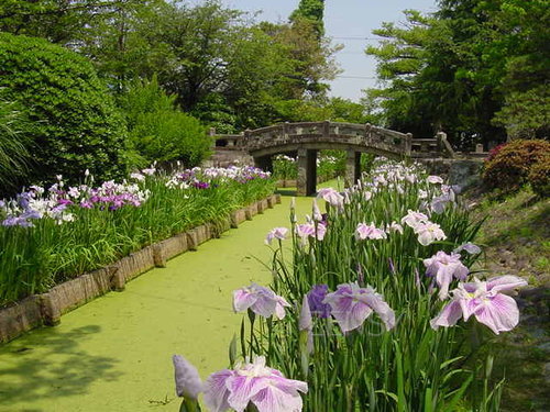 kiji5 (4)