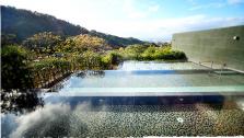 img_tanagumo02
