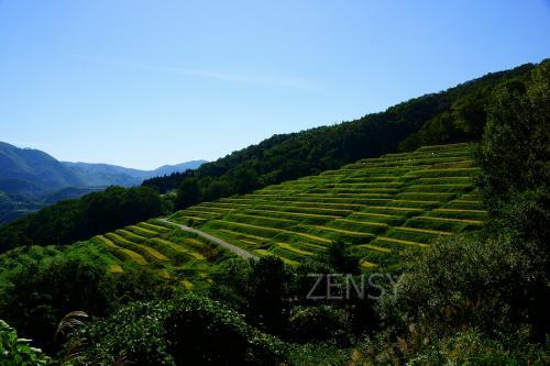20120921_115846