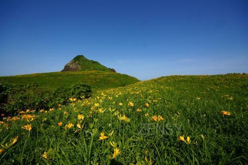 20130606_538080