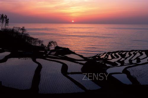 no_0026_ar