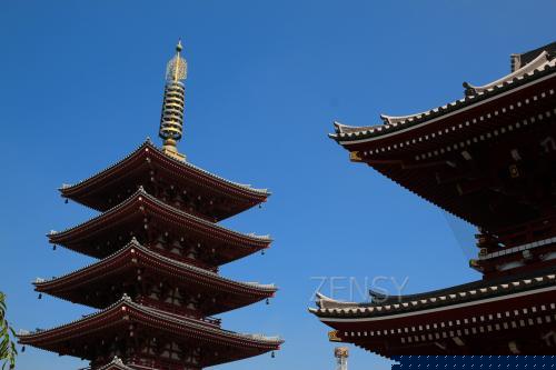 IMG_6378