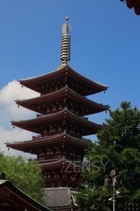 IMG_6411
