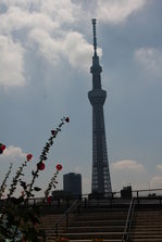 IMG_6474