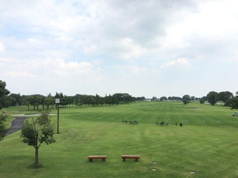 134-IMG_4391