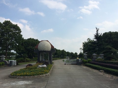 162-IMG_4435