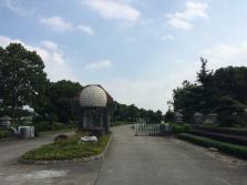 162-IMG_4435