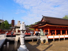 P1010119