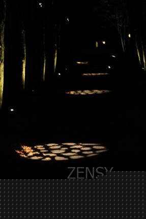 IMG_8178
