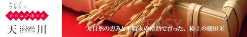 剧