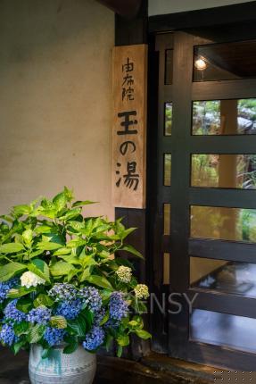 20160710-DSC07464