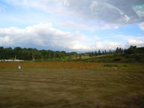 DSCN0713