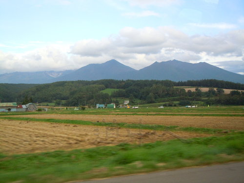 DSCN0735