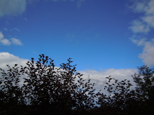 DSCN0859