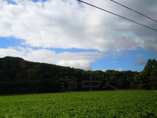 DSCN0871