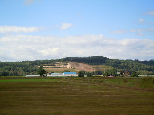 DSCN0876