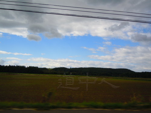 DSCN0884