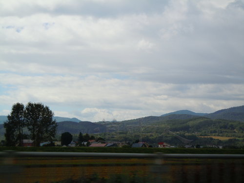 DSCN0956
