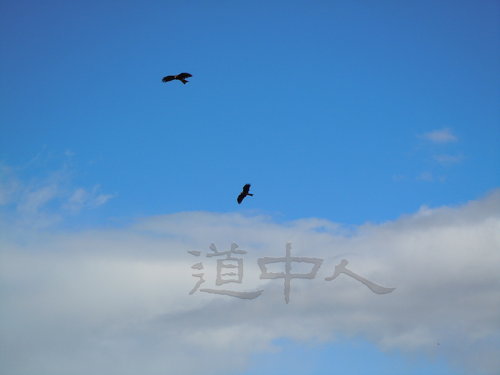 DSCN1027