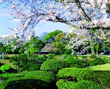 姘村