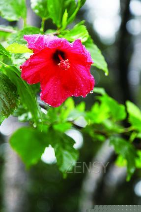 IMG_8586