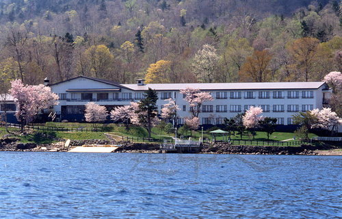 丸駒全景（桜）