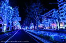 Mido-suji Illumination2013