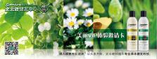 缇