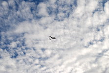DSC_6409