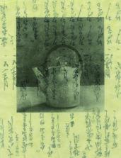 TPG11550815_20M