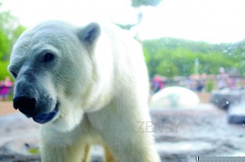 DSC_0252(1)