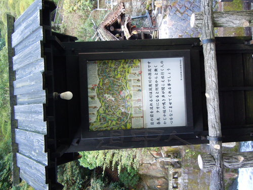 DSCN1419