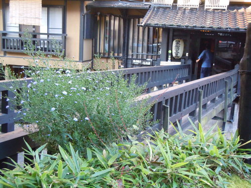 DSCN1424