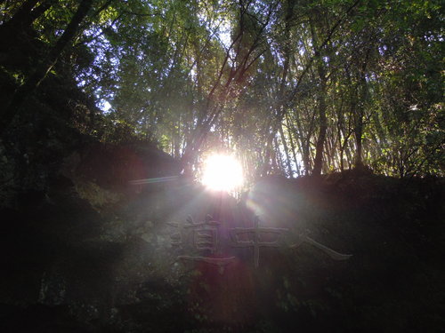 DSCN1486