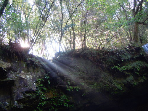 DSCN1489