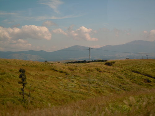 DSCN1521
